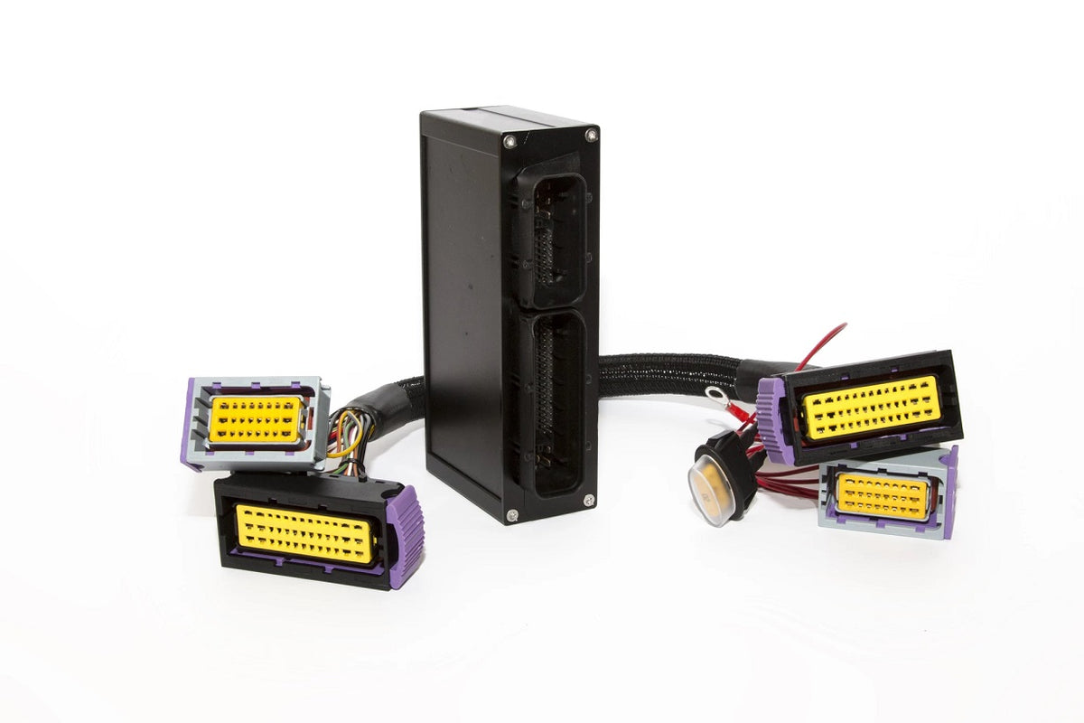 VW Golf R32 VR6 BFH Harness adapter (BLACK ECU) ECUMaster Australia